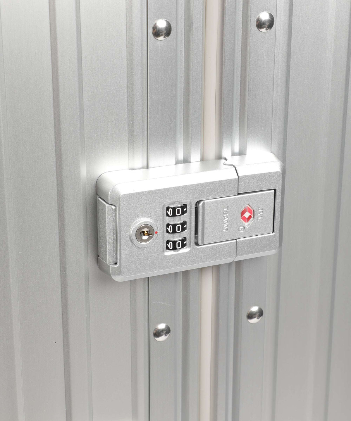 Aleon Classic 26 Traveler Spinner (4 wheels) platinum