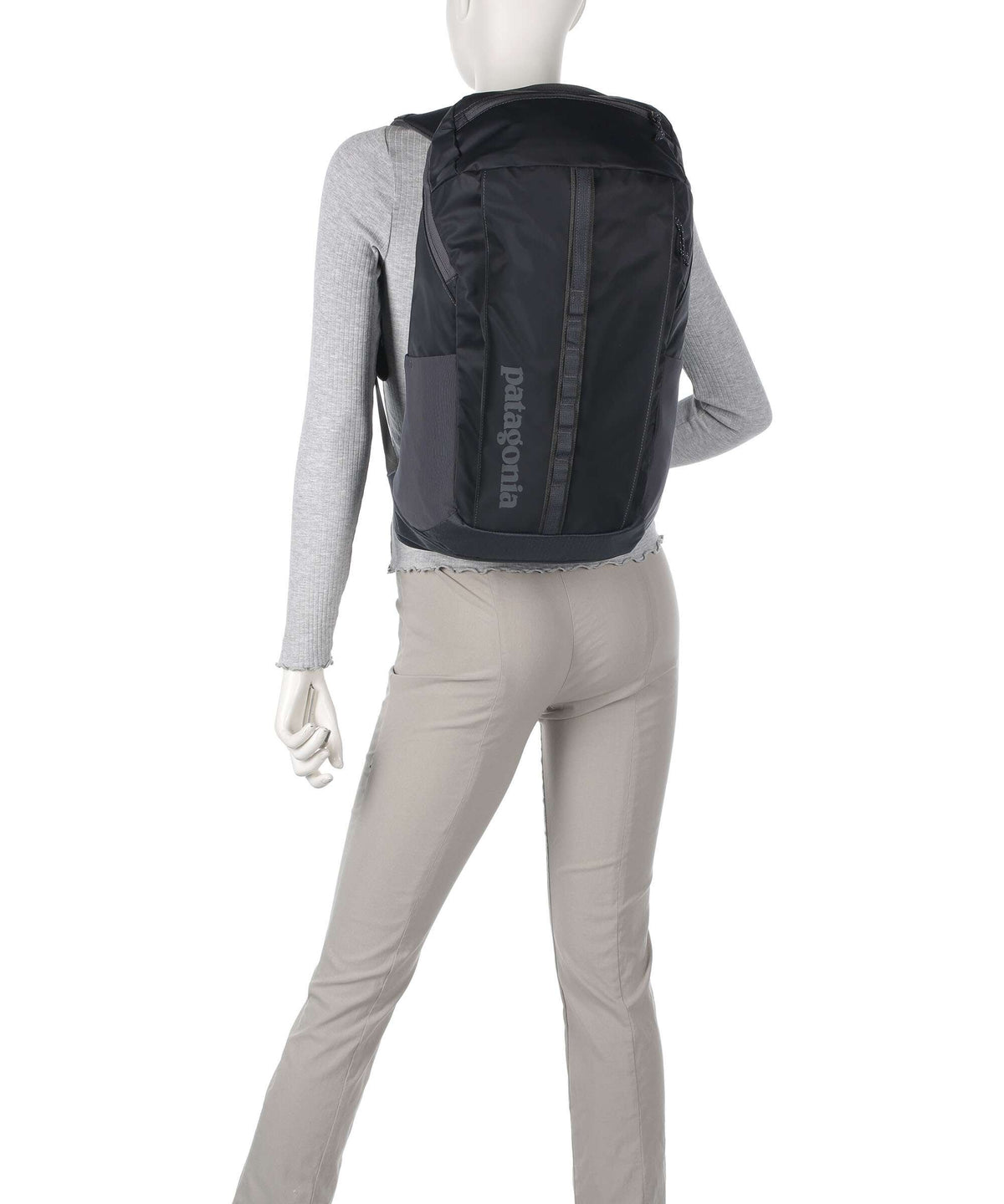 Patagonia Black Hole 25 Backpack brisk purple