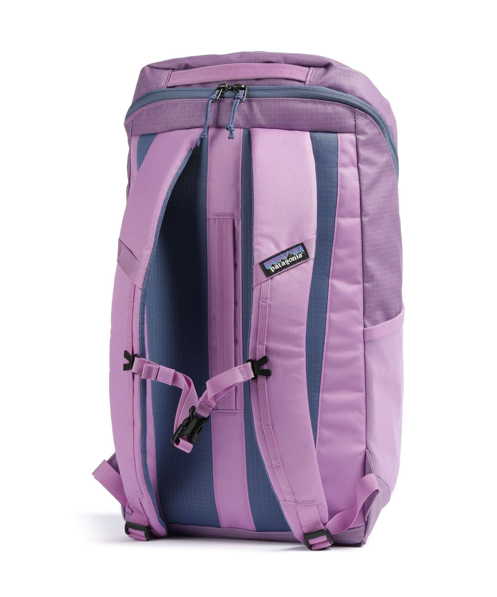 Patagonia Black Hole 25 Backpack brisk purple