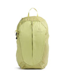 Deuter AC Lite 21 SL Turistický batoh sprout linden