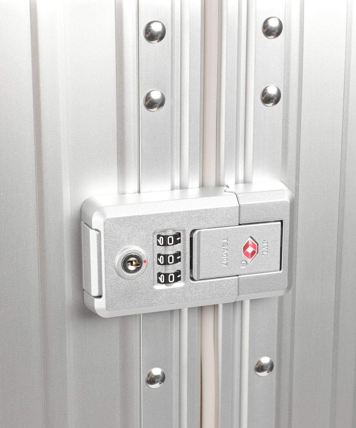 Aleon Classic 30 Macro Traveler Spinner (4 wheels) platinum