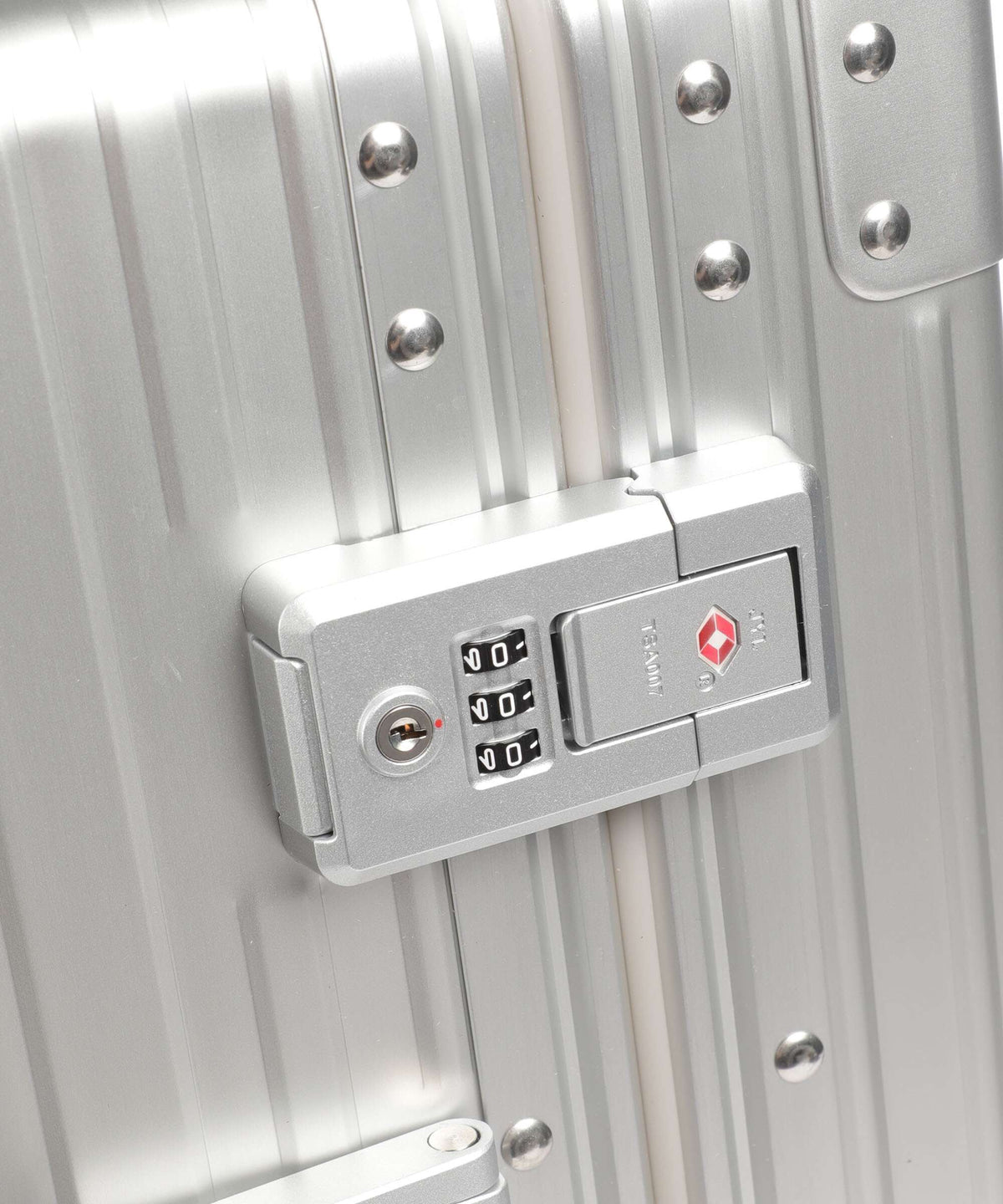 Aleon Classic 21 Domestic Suiter Spinner (4 wheels) platinum