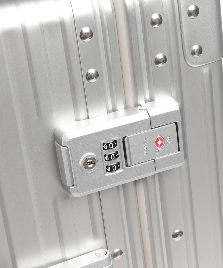 Aleon Classic 21 Domestic Suiter Spinner (4 wheels) platinum