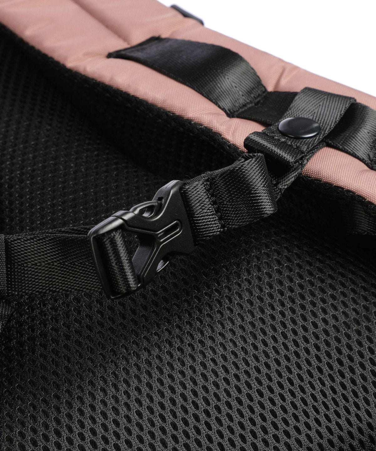 Doughnut Street Cruise Hypatia Backpack chestnut