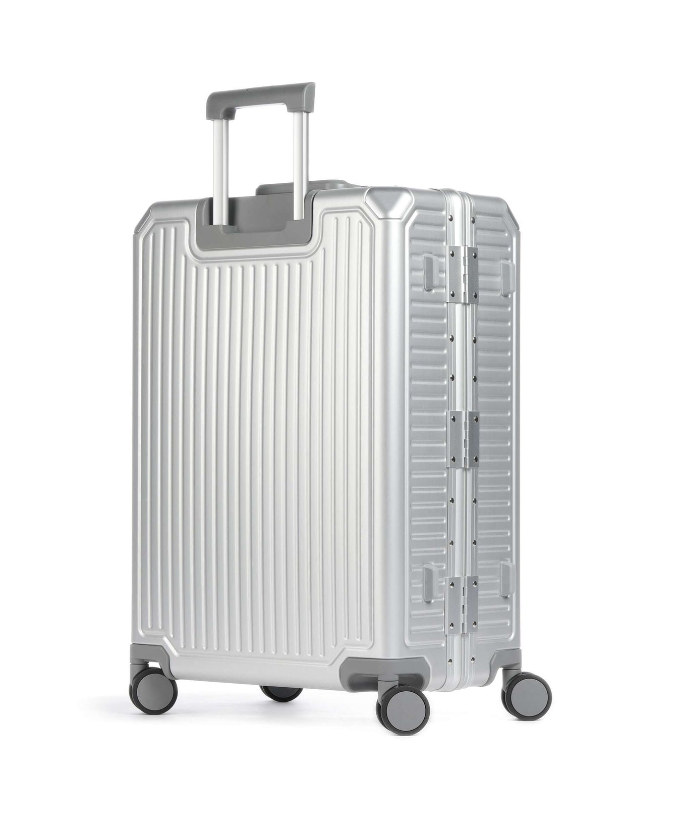 Echolac Shogun Classic M Spinner (4 wheels) silver