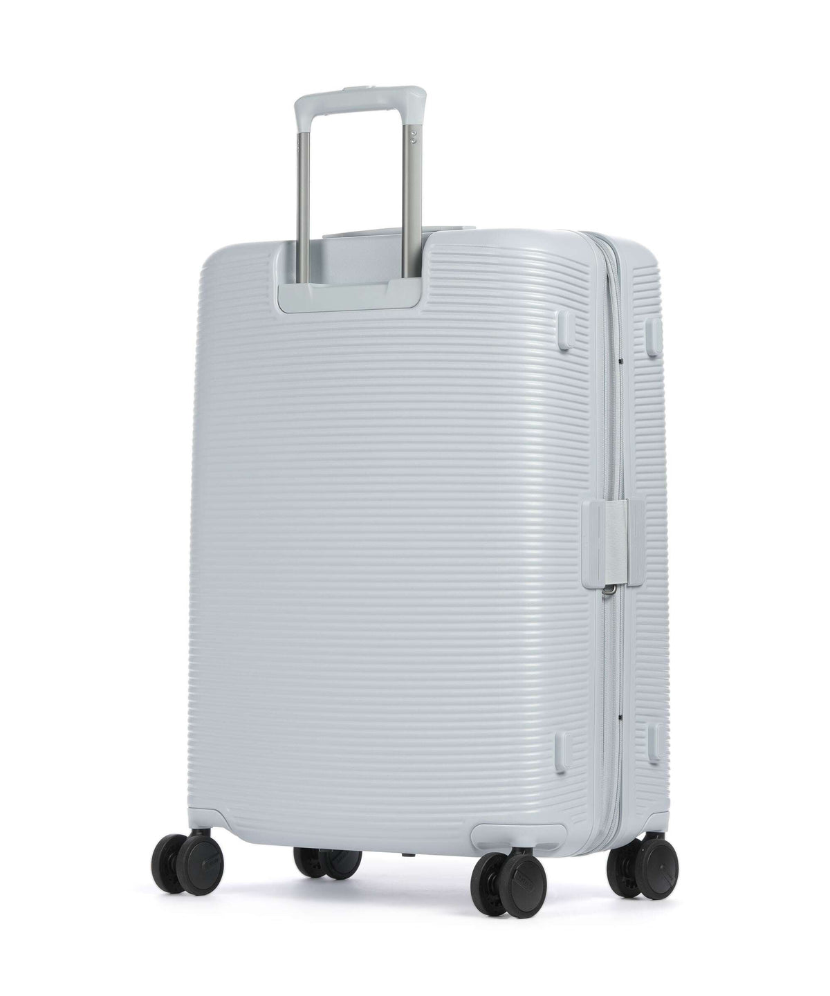 Echolac Ultima M Spinner (4 wheels) light blue