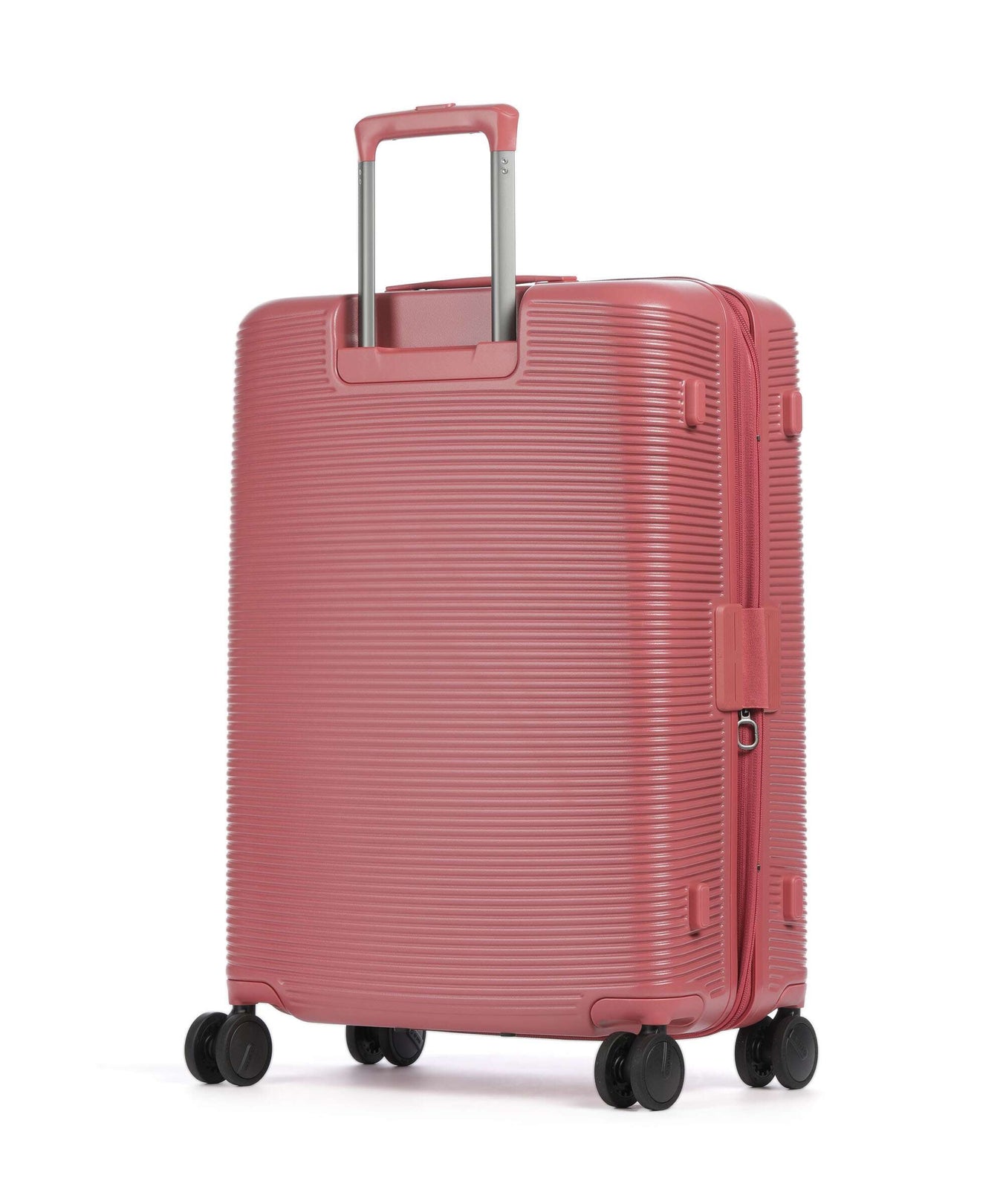 Echolac Ultima M Spinner (4 wheels) red