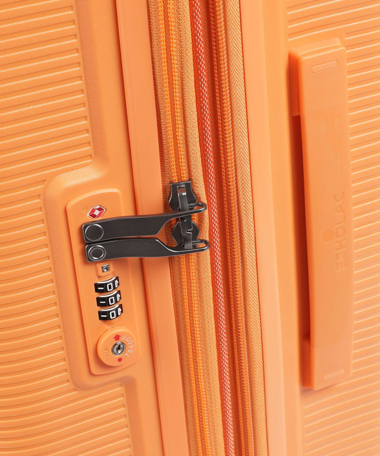 Echolac Forza M Spinner (4 wheels) apricot crush