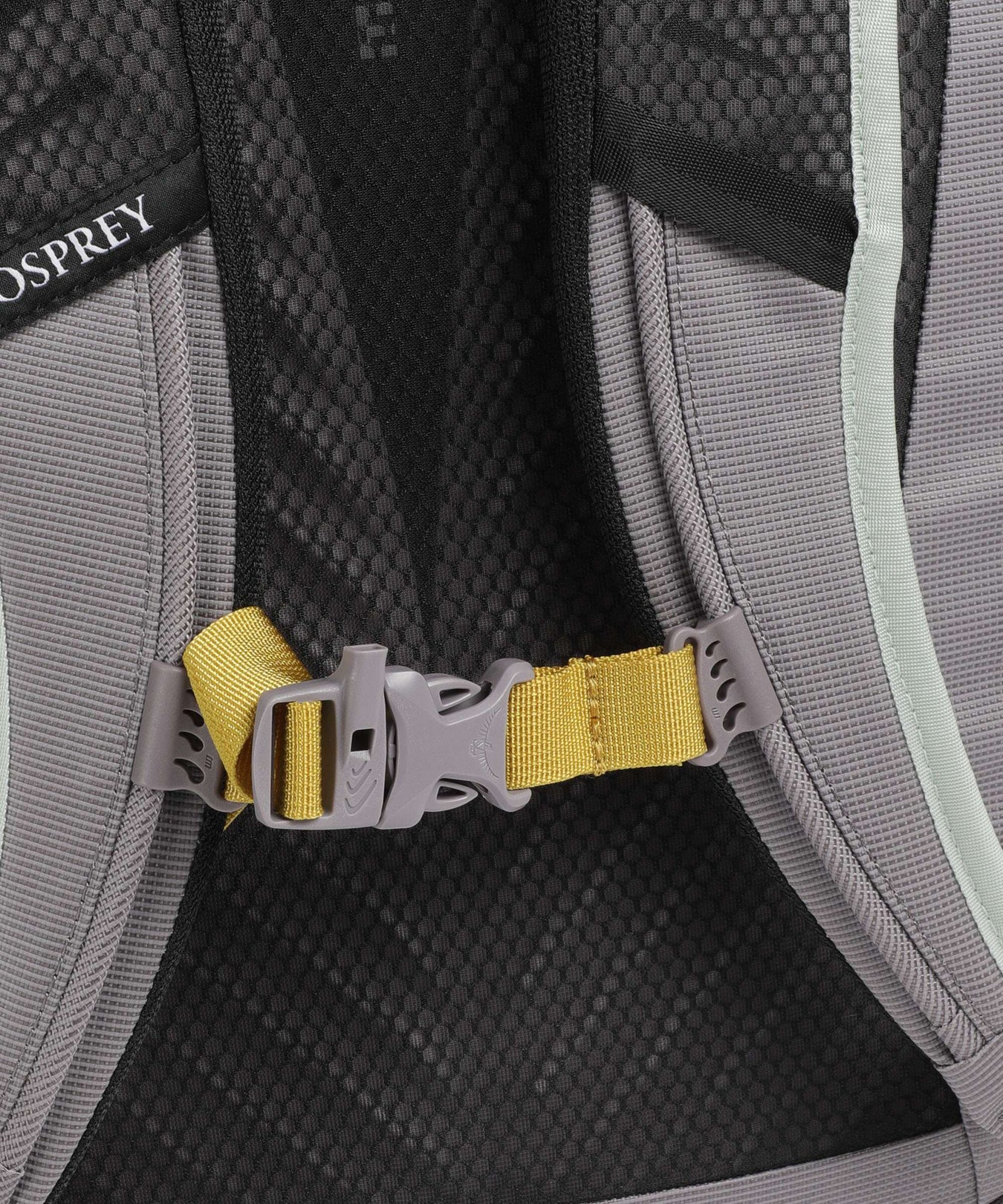 Osprey Transporter Backpack frosty mint/soundwave grey