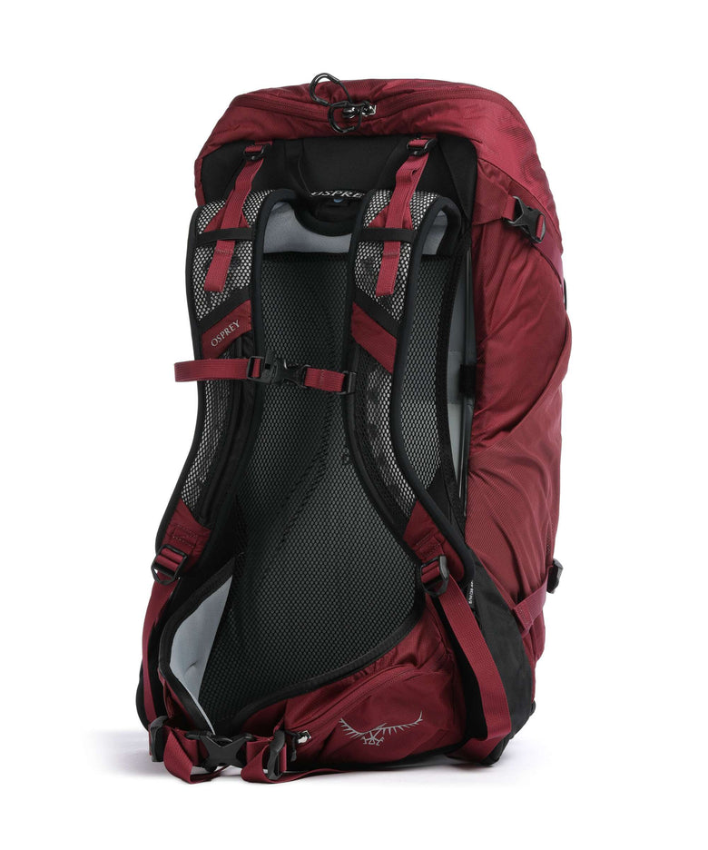 Osprey Hikelite 32 S/M Hiking backpack chameleon/black