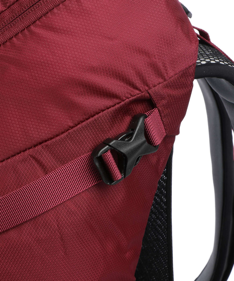 Osprey Hikelite 32 M/L Hiking backpack chameleon/black