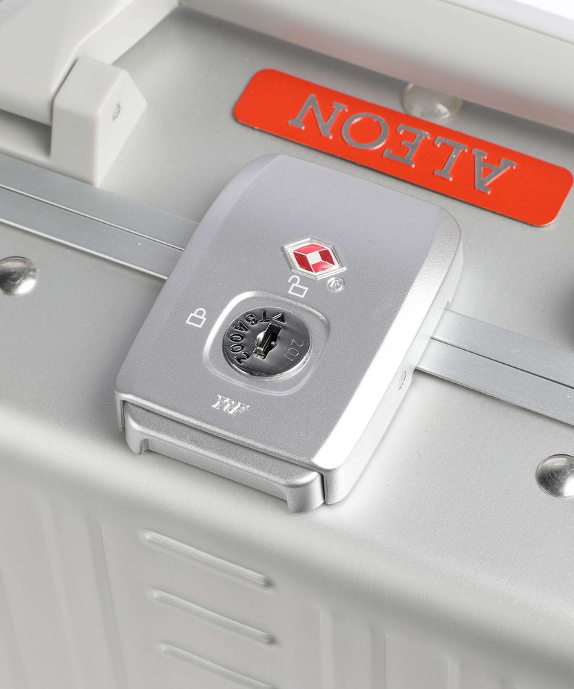 Aleon Classic 13 Vertical Briefcase platinum